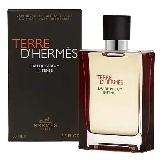 Perfume Hermes Terre D'hermes Eau De Parfum Intense 100 Ml Hombre