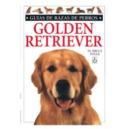 Golden Retrevier