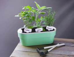 Macetero Huerta Auto Riego Verde Menta 1,75 Lt - Verde