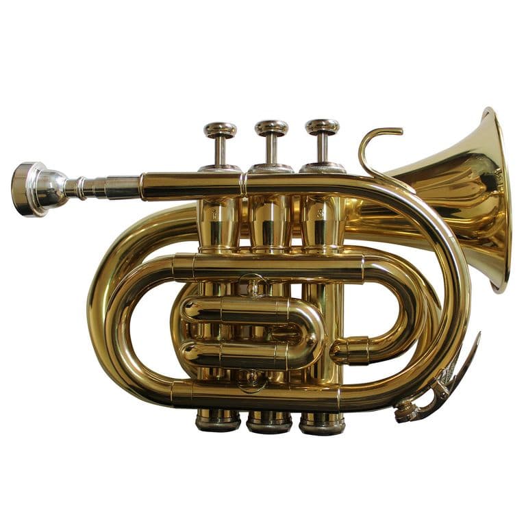 Trompeta Pocket Bb Dorada All6417L