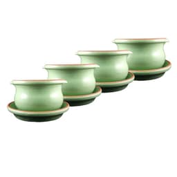 Set de Cacerolas Menta Miel