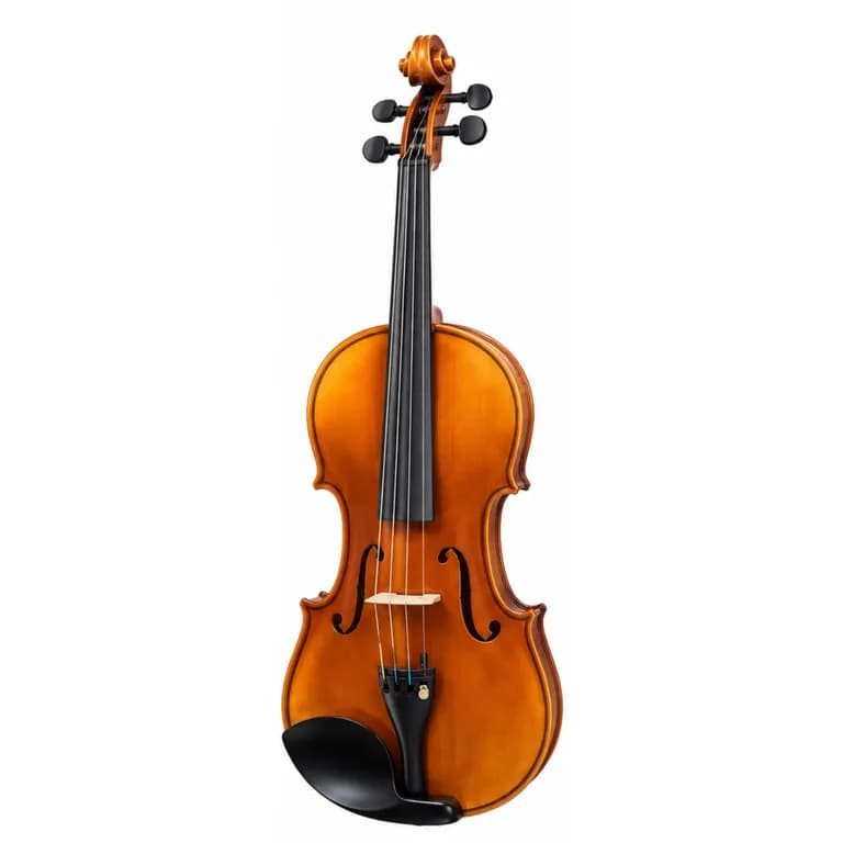 Violin Antique Liv-10 4/4