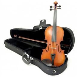 Violin 44 Color Natural