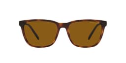 Anteojos De Sol AN4291 Cortex Havana Hombre Cafe 58