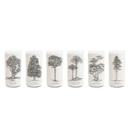 Juego de 6 Vasos Arboles de Chile