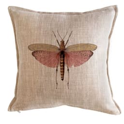 Cojin Antique Fly 45x45 -Tuyo Print