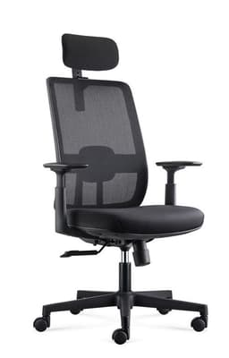 Silla ejecutiva oficina Kassel