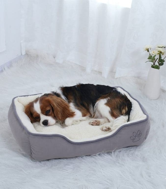 Cama Premium 2 Piezas para mascotas Color Talla L Gris
