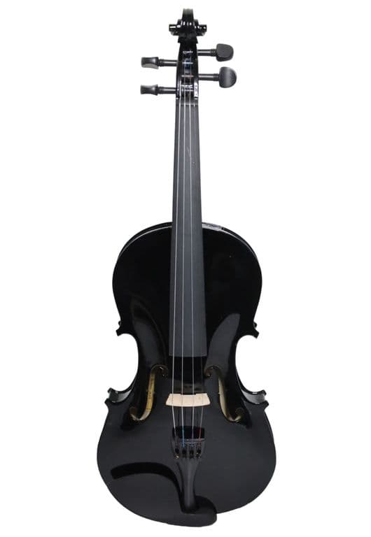 Violin Color Negro 4/4 LIV-20BK