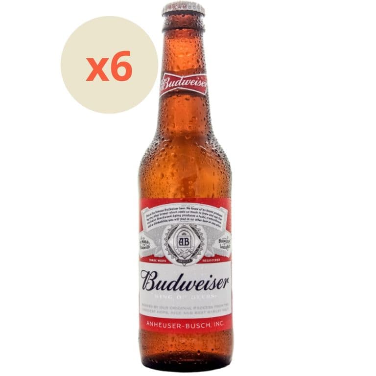 6x Cerveza Especial Botellin 4,8 330cc