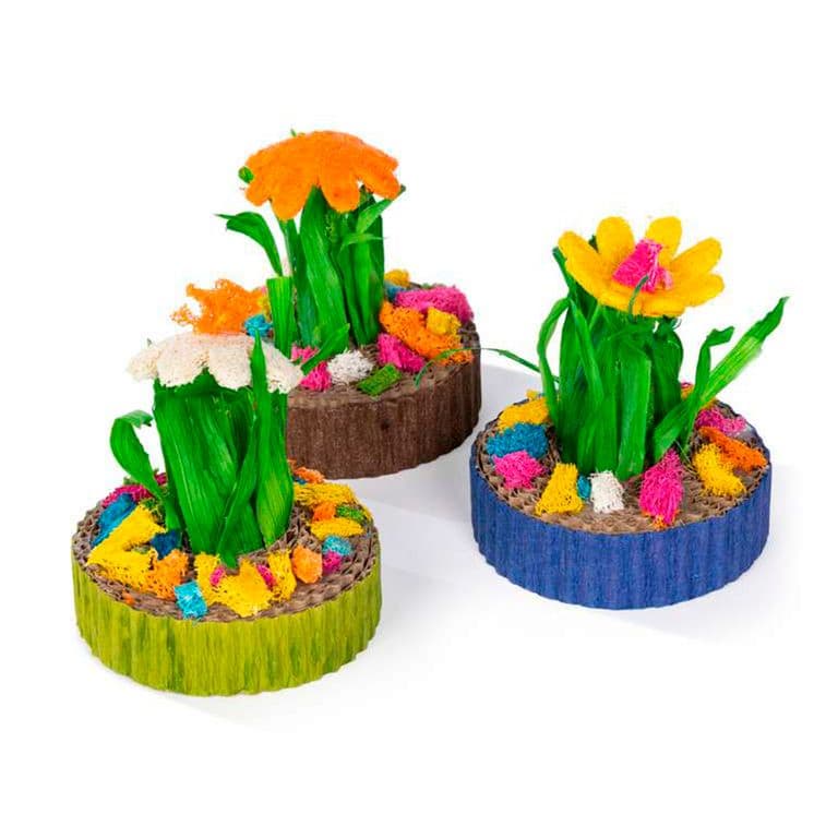 Jardin Mini Suculentas 3 Un