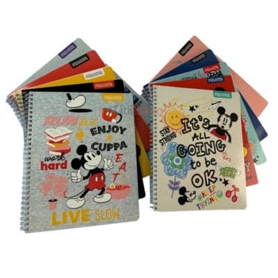 Pack 10 Cuadernos Caricaturas Matematica 7MM 100 hojas