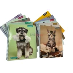 Pack 10 Cuadernos Adorable Matematica 7MM 100 hojas