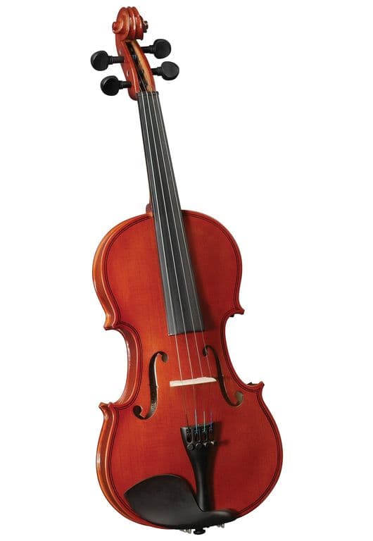 Violin Outfit 4/4' HV-100