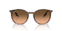 Anteojos De Sol Ray-Ban RB2204 Cafe Unisex Cafe 54