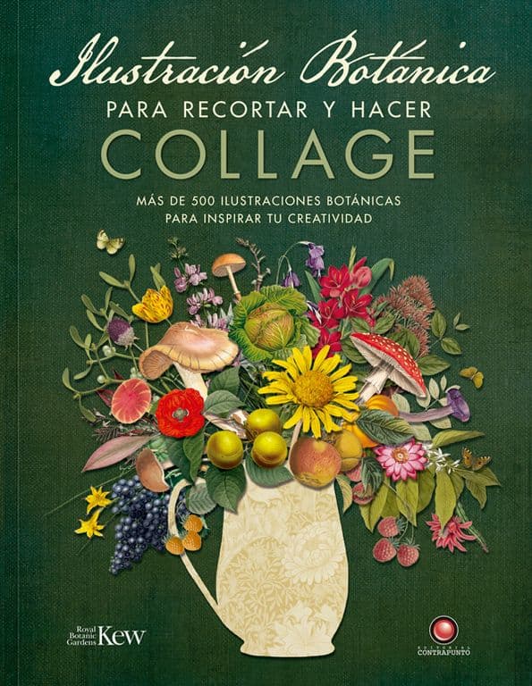 Ilustracion botanica para recortar y hacer collage
