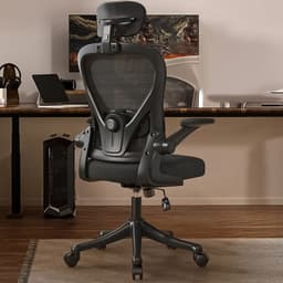 Silla Amia Ergonomica De Oficina Soporte Lumbar Ajustable Negro