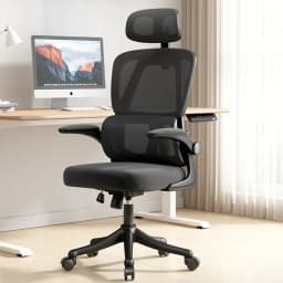 Silla Amia Ergonomica Silla De Escritorio Soporte Lumbar Elastico Giratoria Oficina Negro