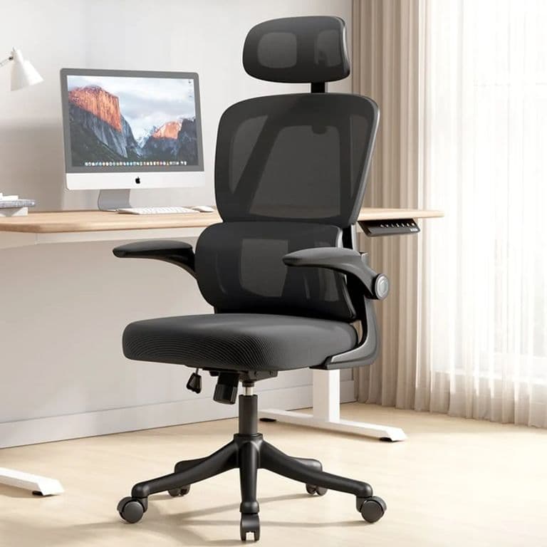 Silla Amia Ergonomica Silla De Escritorio Soporte Lumbar Elastico Giratoria Oficina Negro