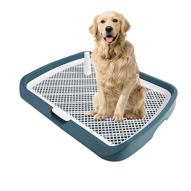 Bano Inodoro De Entrenamiento Para Perros Con Pilar Urinario