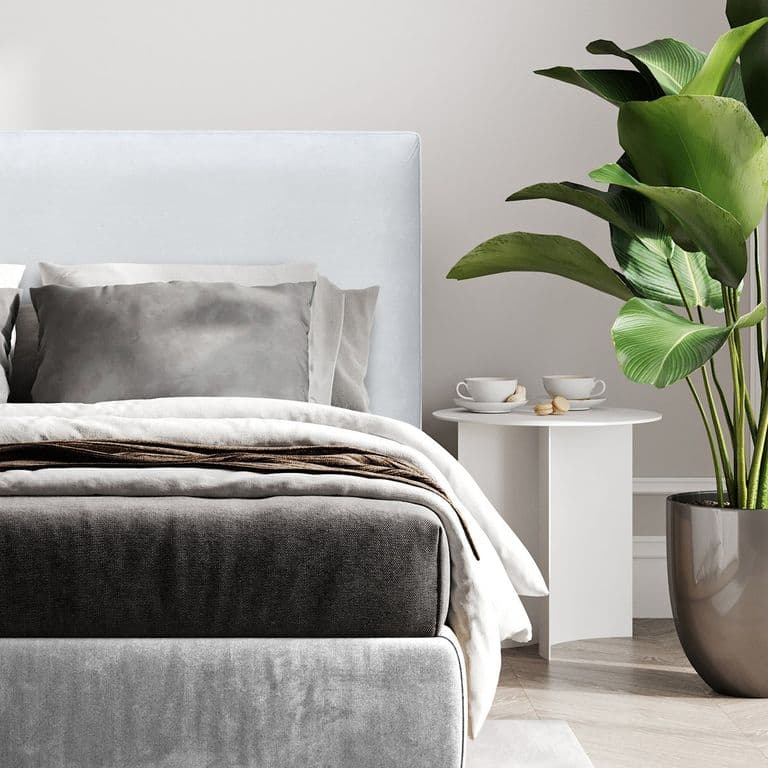 Respaldo de Cama Flat Vivo Felpa Crema - Queen