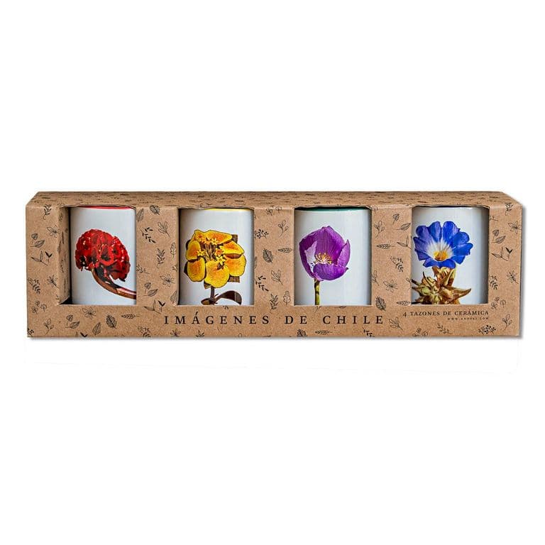 Set de 4 Tazones Flores del Desierto de Atacama N2