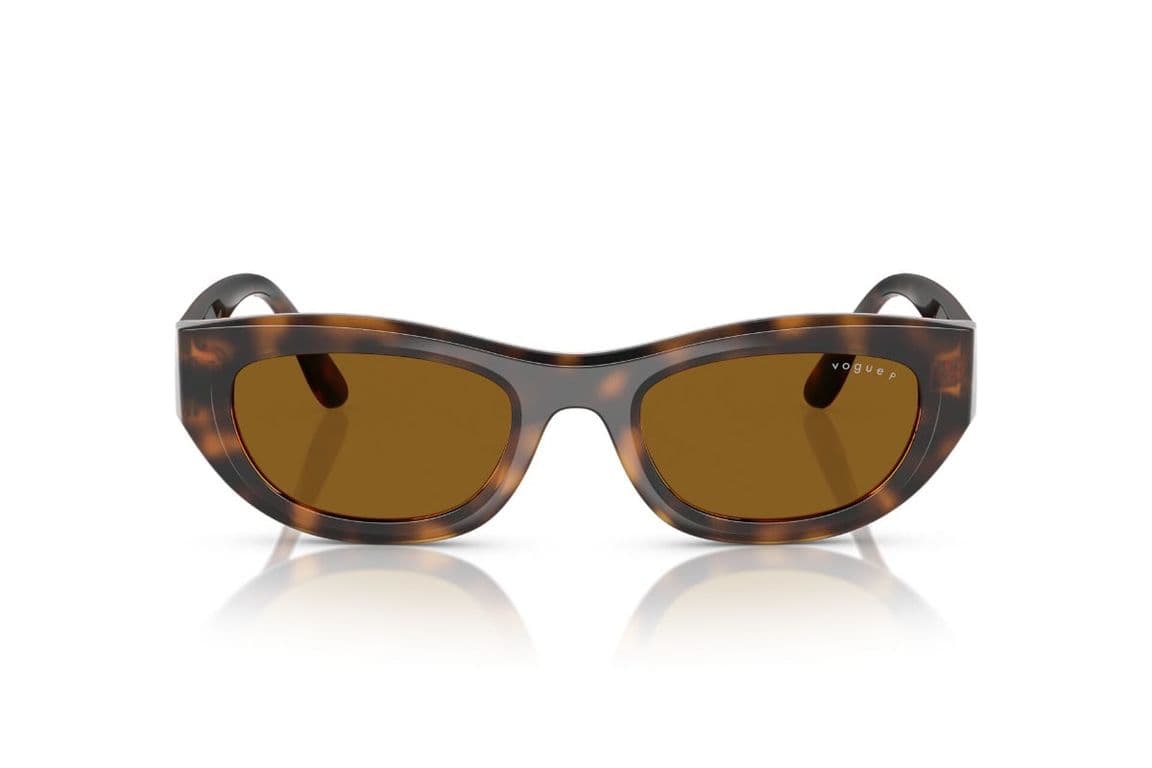Lentes de Sol Havana Polarizados Eyewear Marron M