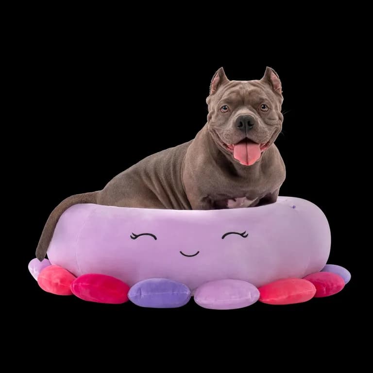 Cama Fucsia grande para Perro 76 Cm.