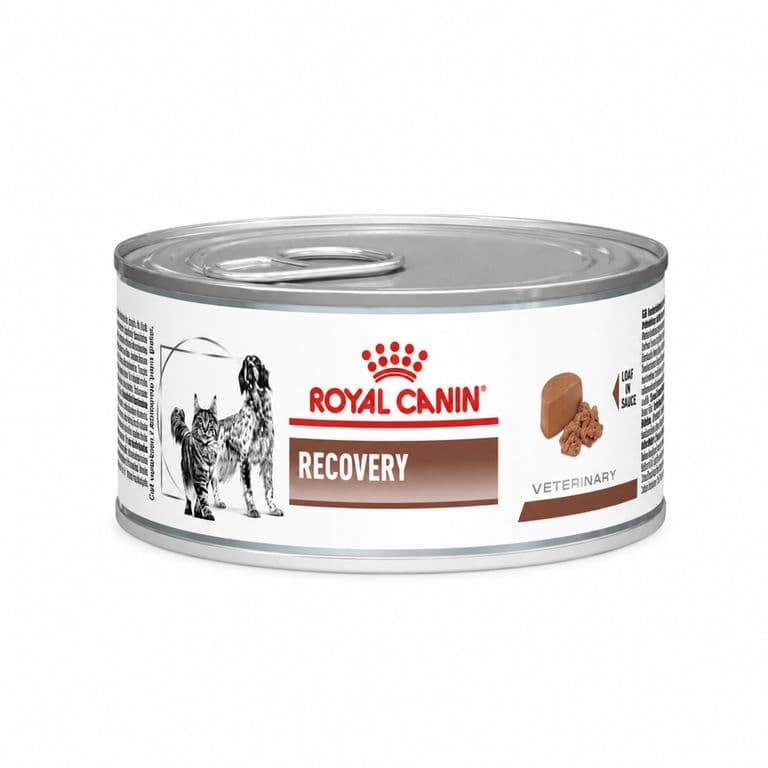 Recovery Para Perros Y Gatos - Lata De 145g