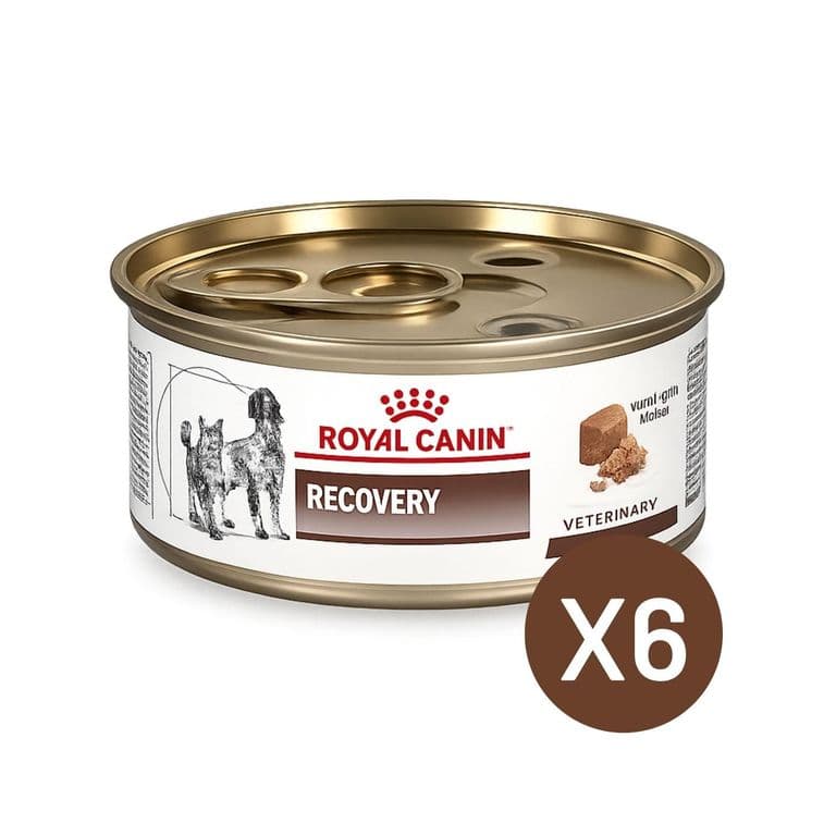 Recovery 145g Perro Gato Pack 6 Latas