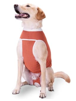 Body Cobre Post-operatorio Talla 6 - 10 A 13 K