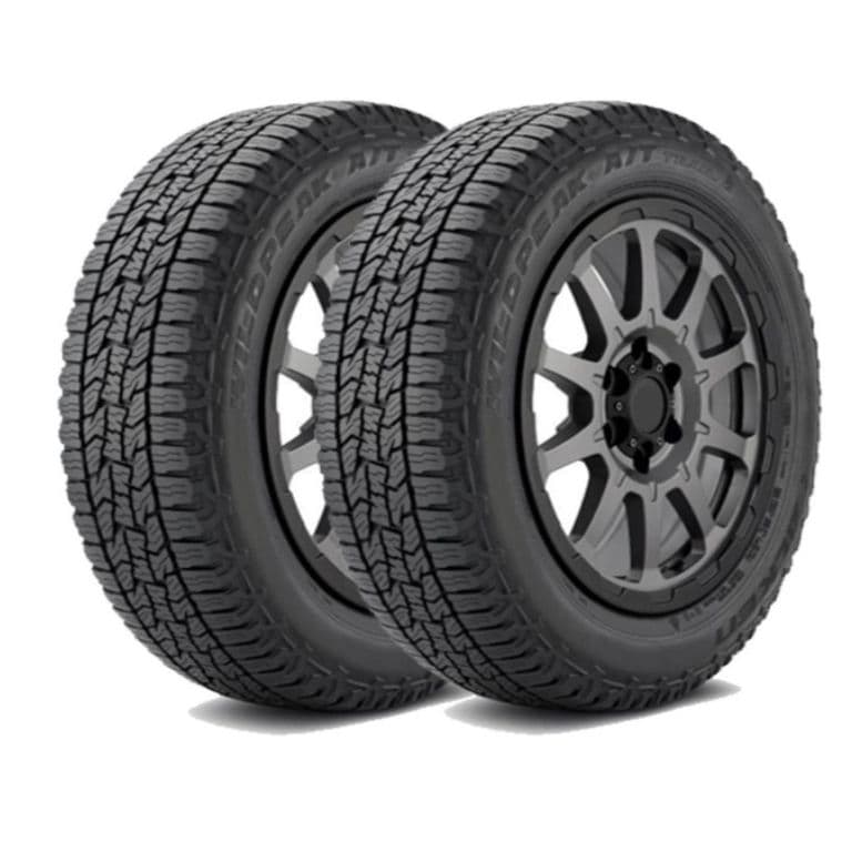 Set 2 Neumatico 255/55r19 Wpattr At 111v
