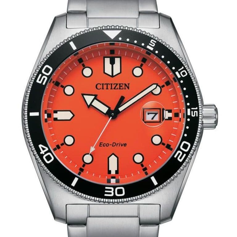 Reloj Hombre Marine AW1760-81X Plateado TALLA UNICA