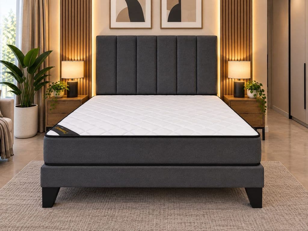COLCHON DE RESORTES PLUS 2PZA