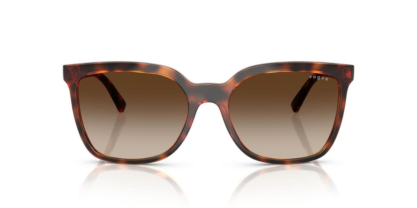 Lentes de Sol Havana Degradados Eyewear Marron M