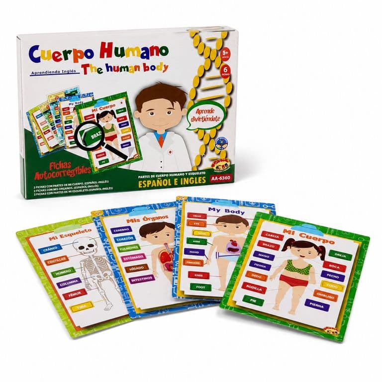 Juego Educativo Cuerpo Humano -