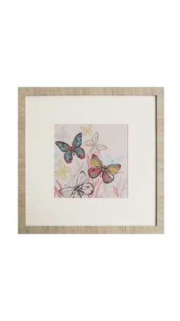 Cuadro de mariposas 50x50