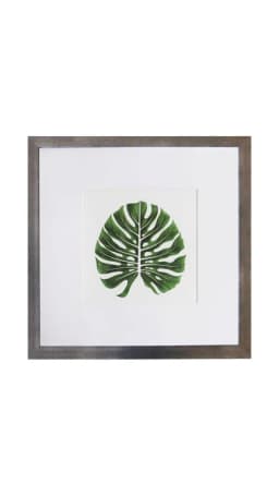 Cuadro de 1 hoja verde 50x50