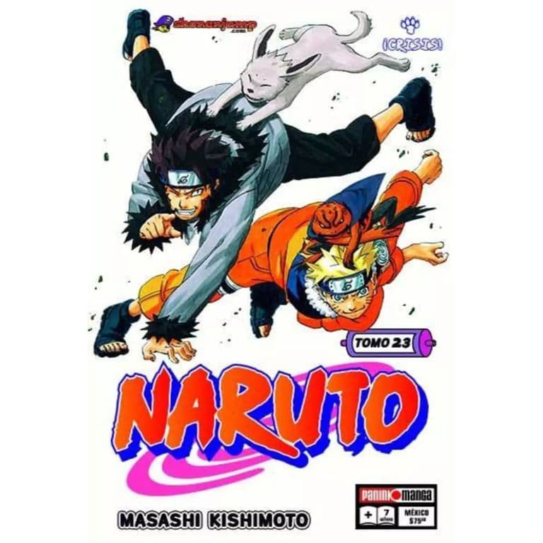 Naruto N23 - Crisis