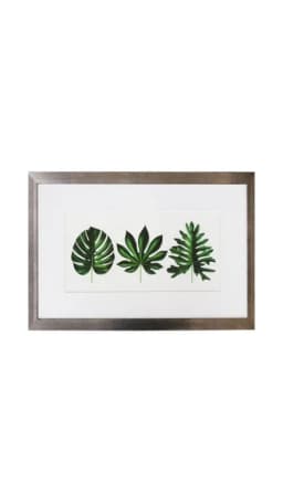 Cuadro de 3 hojas verdes 40x60