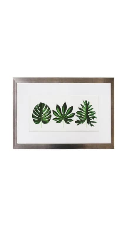 Cuadro de 3 hojas verdes 40x60
