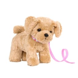 Cachorro Goldendoodle -