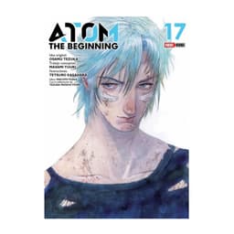 Atom - The Beginning N17