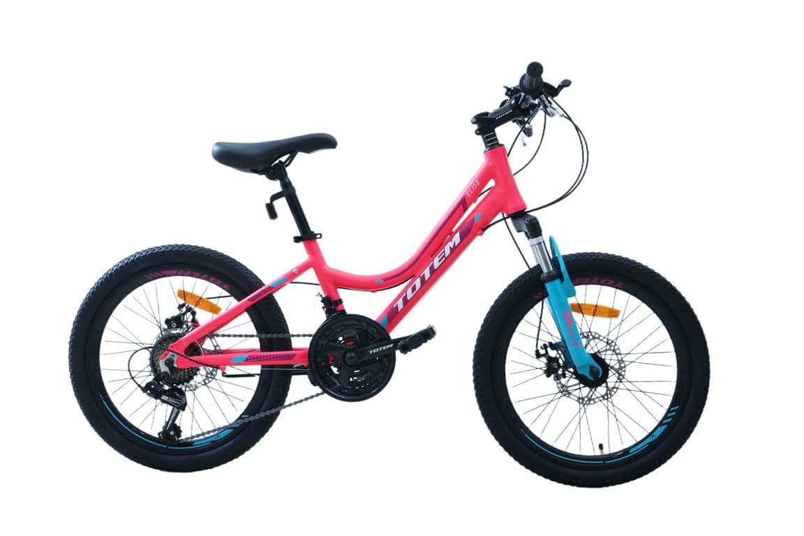 BICICLETA MTB ARO 20 MODELO ELISE FUCSIA Rosado XS