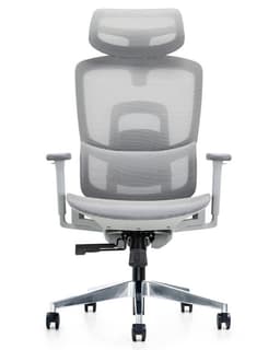 Silla Gerencial Premium de Oficina Delizia Gris claro