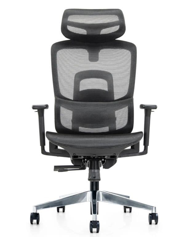 Silla Gerencial Premium de Oficina Delizia Gris claro