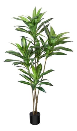 Planta Artificial Dracaena 165 Cm.