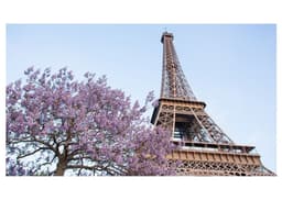 Canvas Ciudades Torre Eiffel 40x70 cm