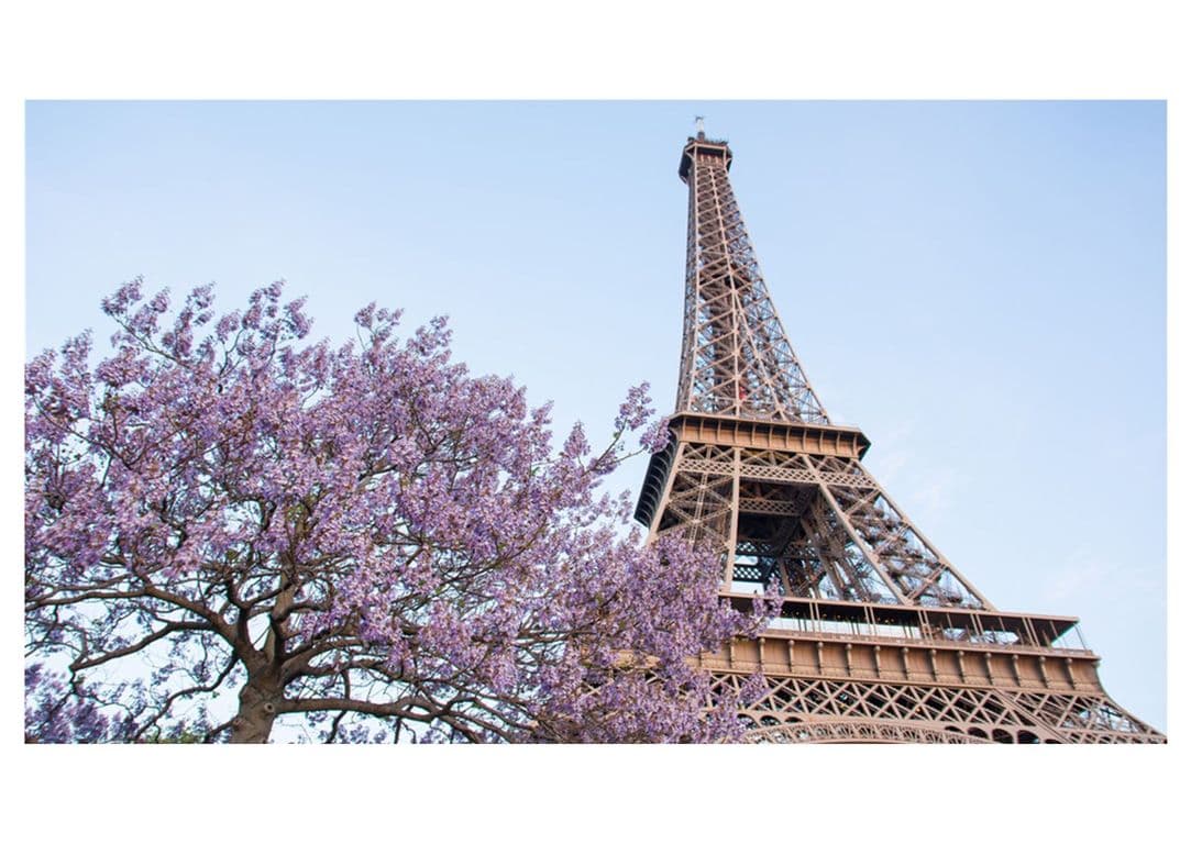 Canvas Ciudades Torre Eiffel 40x70 cm