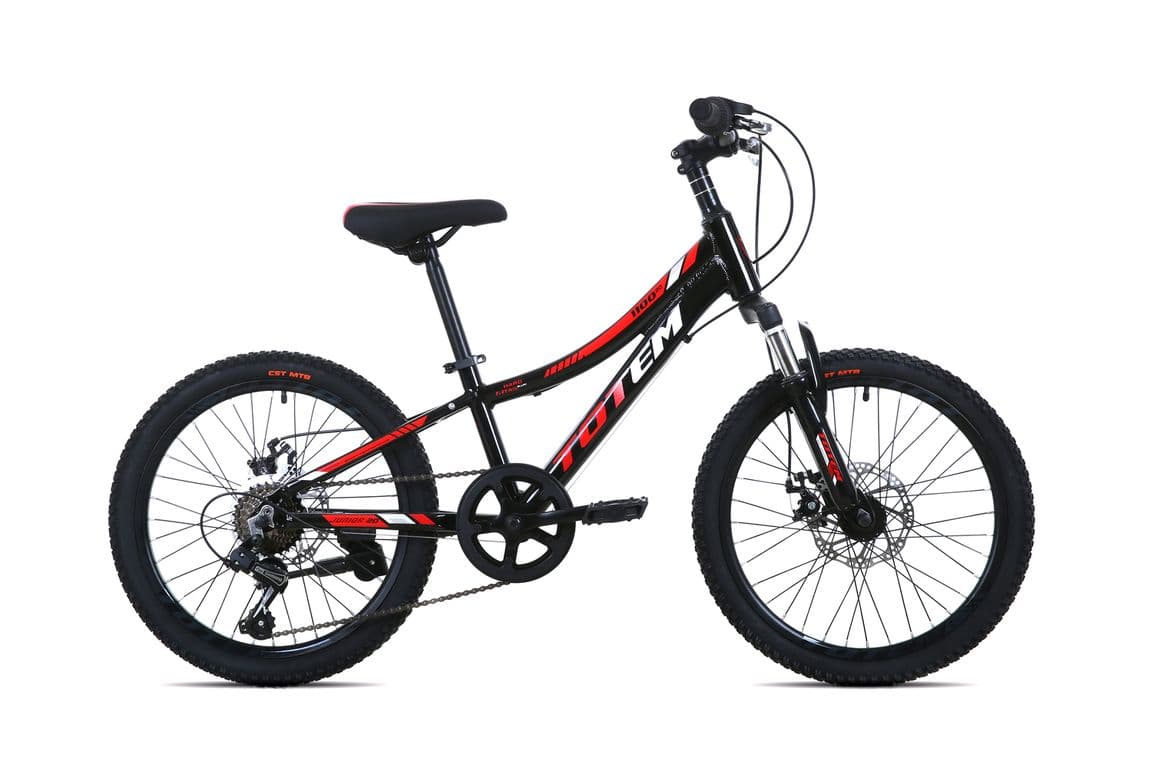 BICICLETA MTB ARO 20 MODELO 1100 NEGRO Negro XS